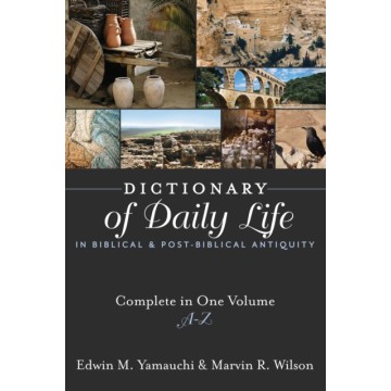 DICTIONARY OF DAILY LIFE IN...