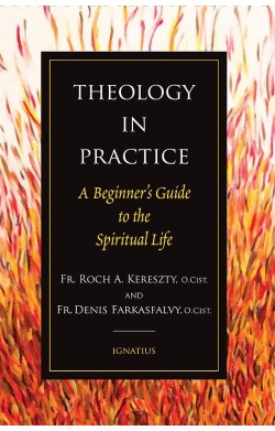 Theology in Practice: A...