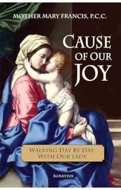 Cause Of Our Joy - Walking...