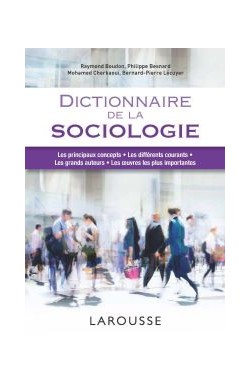 Dictionnaire De La Sociologie