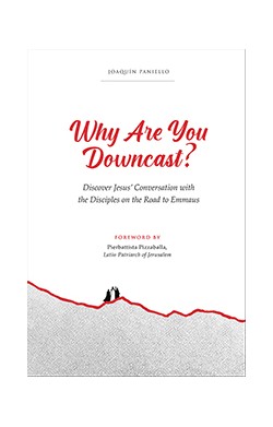 Why Are You Downcast? -...